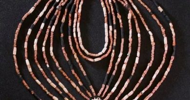 9000 Years Old Necklace
