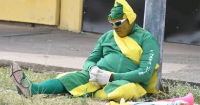 Kwara United's Mascot