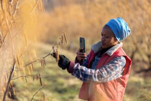 Digital agriculture African woman