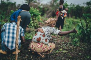 Group of African farmers working in the fields