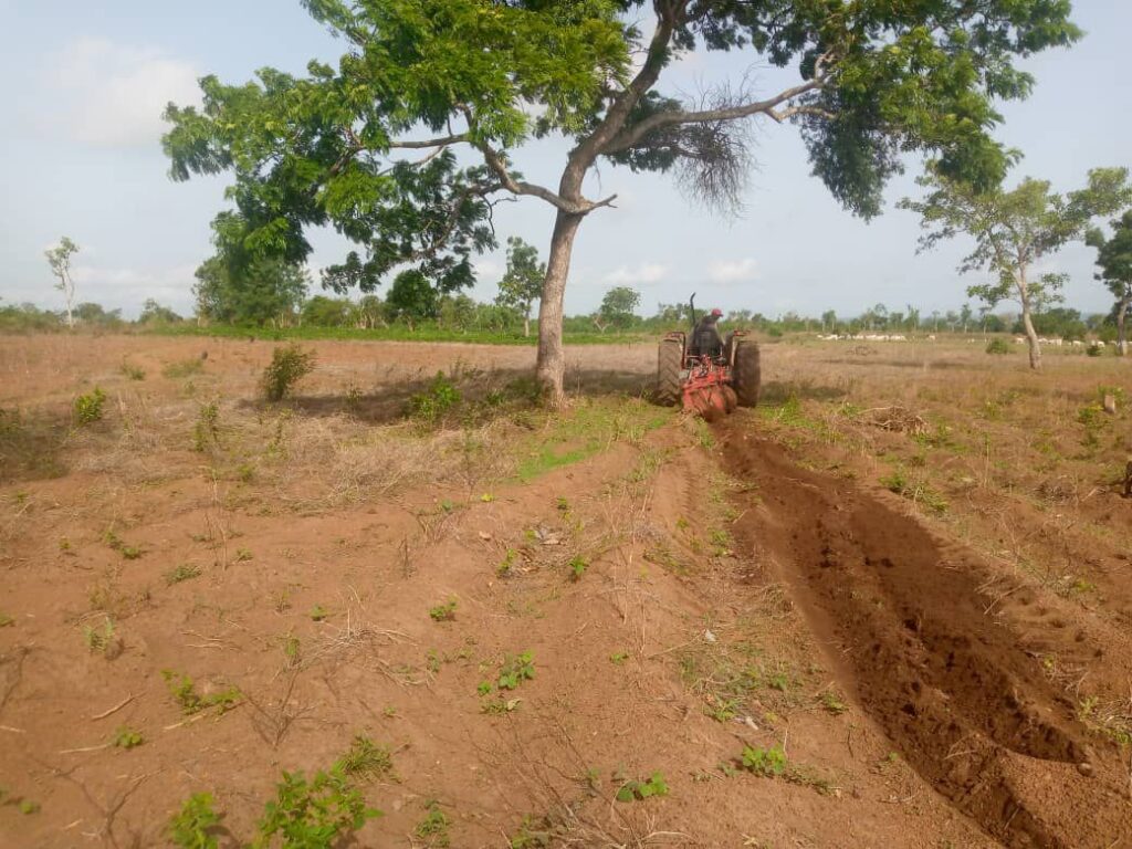 MOK Foundation Launches 50-Hectare Agricultural Initiative