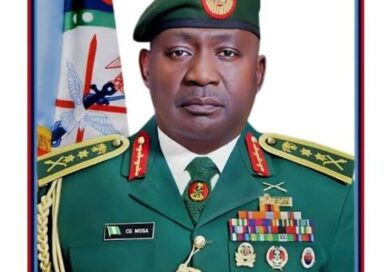 Chief of Defence Staff, General Christopher Musa