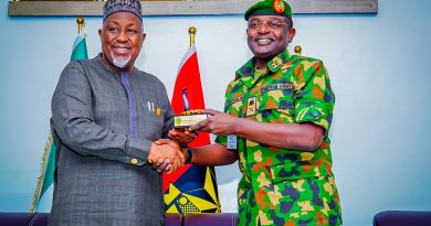 Defence Minister Hails Operation Delta Safe's Fight Against Oil Theft