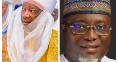 IEDPU FCT Chapter Congratulates Emir of Ilorin on 29th Anniversary