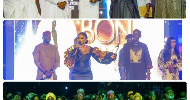 Nollywood's Finest Gather in Kwara for BON Awards 2024