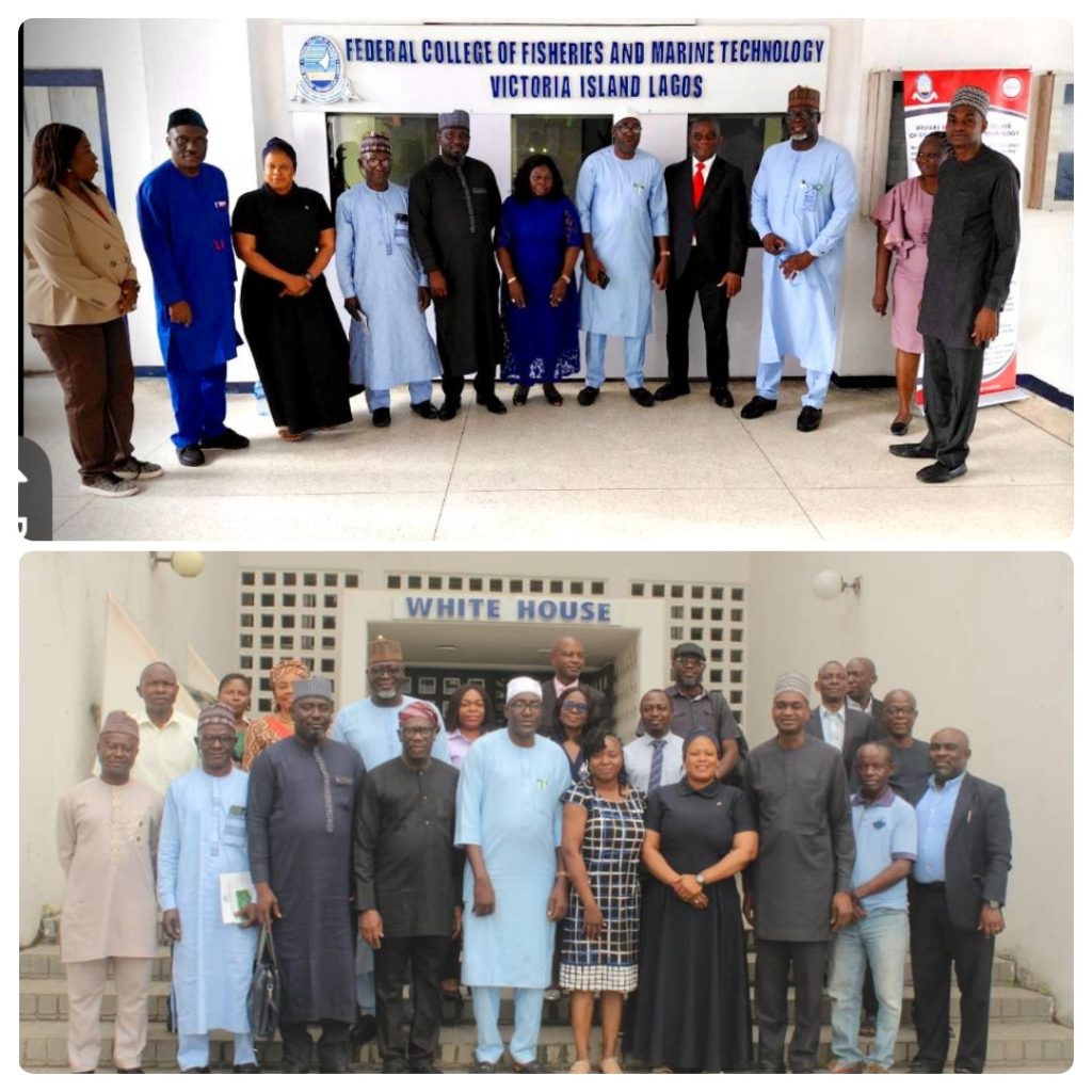 ARCN Boss Commences Oversight Visit, Assures of Tinubu’s Backing