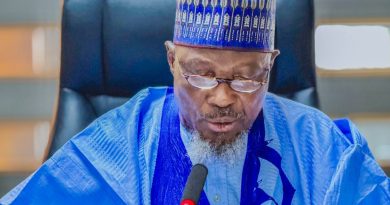 Professor Abdullahi Saleh Usman, NAHCON Chairman