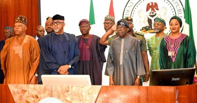 Tinubu Unveils NINAuth App, Says Credible Identity System Key to National Growth