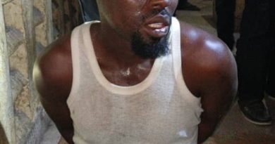 Troops Arrest Suspected Suicide Bomber, Intercept IED Materials in Borno