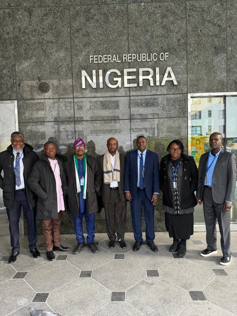 Nigeria Takes Lead in Global WSIS+20 Digital Agenda