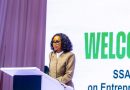 FG Rolls Out Digital Lions Programme to Train Nigerian Entrepreneurs