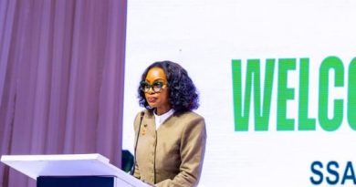 FG Rolls Out Digital Lions Programme to Train Nigerian Entrepreneurs