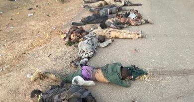 Troops Foil Midnight Attack in Yobe, Kill 24 Terrorists